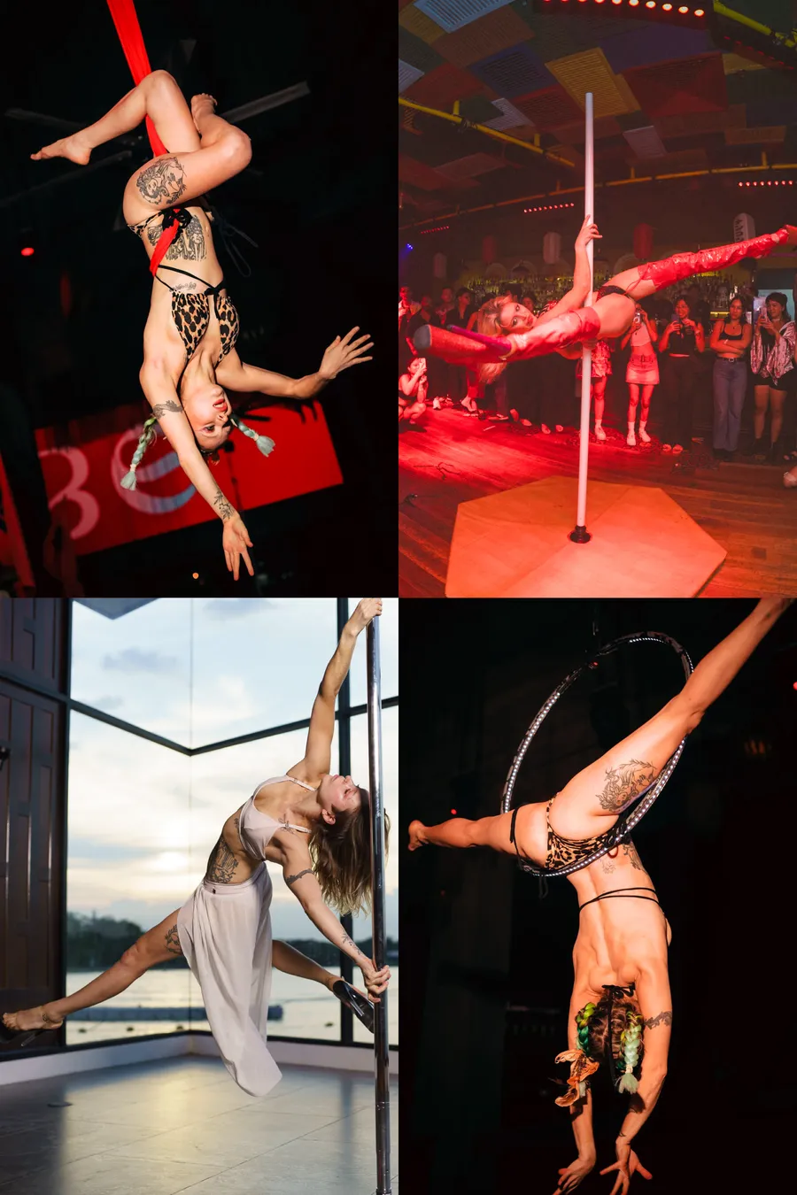 Bella Reyn professional pole and aerial shows in Thailand